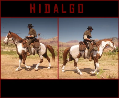 Hidalgo Pack - Hidalgo