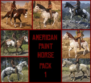 American Paint Horse Pack 1