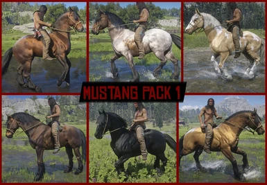 Mustang Pack 1