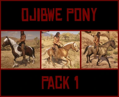 Ojibwe Pony Pack 1