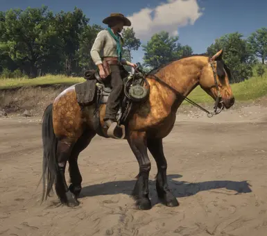 Realistic Gang Horses at Red Dead Redemption 2 Nexus - Mods and community