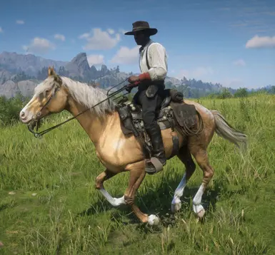 Realistic Gang Horses at Red Dead Redemption 2 Nexus - Mods and community