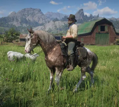 Realistic Gang Horses at Red Dead Redemption 2 Nexus - Mods and community