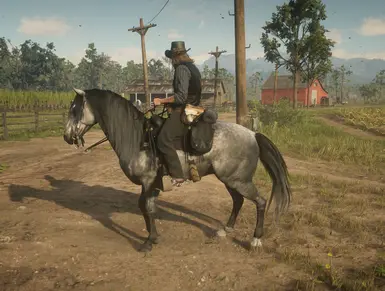 Hungarian Redemption at Red Dead Redemption 2 Nexus - Mods and community