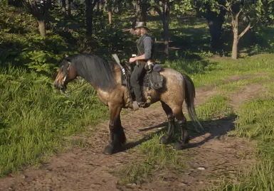 Bay Roan