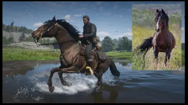 the 4 horses of the apocalypse at Red Dead Redemption 2 Nexus - Mods and  community