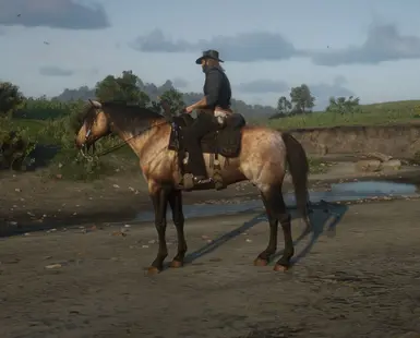 Warmblood Redemption at Red Dead Redemption 2 Nexus - Mods and community