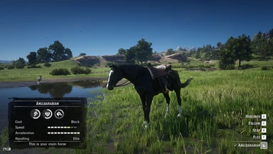 Horse and Stats at Red Dead Redemption 2 Nexus - Mods and community