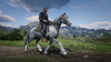 Dhu's Mustangs at Red Dead Redemption 2 Nexus - Mods and community