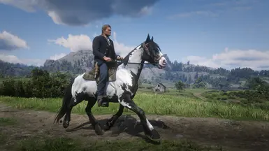 Dhu's Mustangs at Red Dead Redemption 2 Nexus - Mods and community