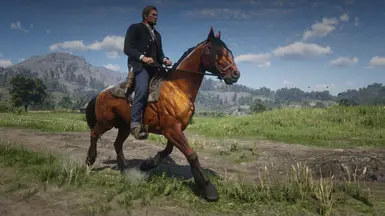 Dhu's Mustangs at Red Dead Redemption 2 Nexus - Mods and community