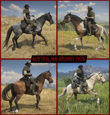 Australian Brumby Pack
