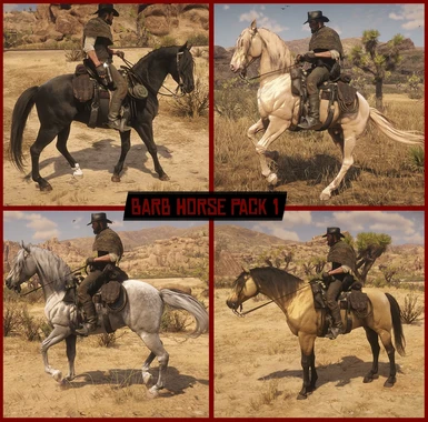 Barb Horse Pack 1