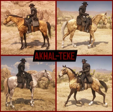 Akhal-Teke Pack 1