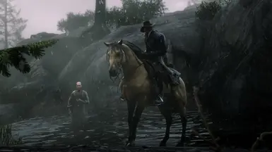 Amazing barb horse