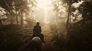 Simple Aesthetics Reshade Preset at Red Dead Redemption 2 Nexus - Mods ...