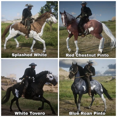 Geologi Medicinsk Centrum Another Mod For Horse Coats at Red Dead Redemption 2 Nexus - Mods and  community