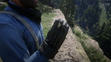 Gloves clipping