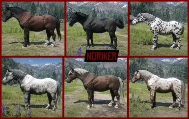 Noriker