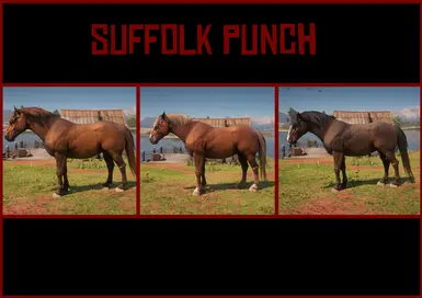 Suffolk Punch