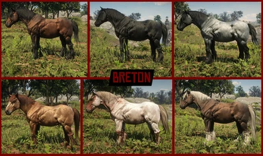 Realistic Draft Horses