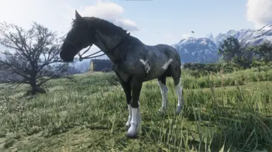 Silver Paint Belgian