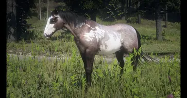 My Custom Horses at Red Dead Redemption 2 Nexus - Mods and community