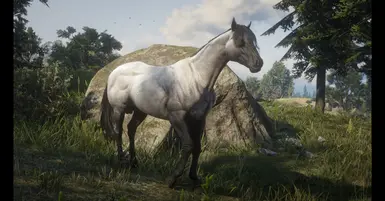 My Custom Horses at Red Dead Redemption 2 Nexus - Mods and community