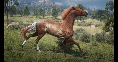 My Custom Horses at Red Dead Redemption 2 Nexus - Mods and community