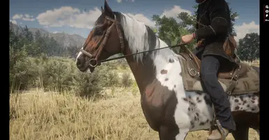 My Custom Horses at Red Dead Redemption 2 Nexus - Mods and community