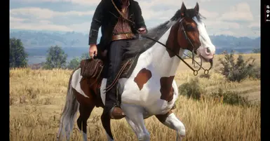 My Custom Horses at Red Dead Redemption 2 Nexus - Mods and community