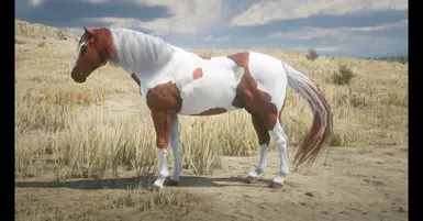 Chestnut Tobiano American Paint