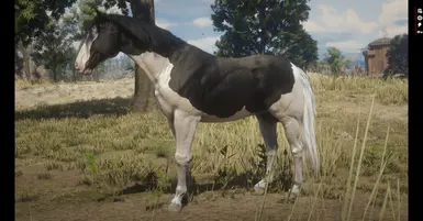 the 4 horses of the apocalypse at Red Dead Redemption 2 Nexus - Mods and  community