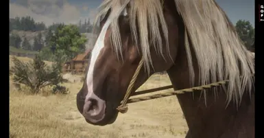 the 4 horses of the apocalypse at Red Dead Redemption 2 Nexus - Mods and  community