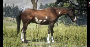 My Custom Horses at Red Dead Redemption 2 Nexus - Mods and community