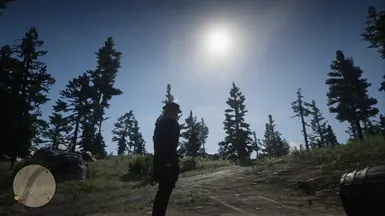 reshade