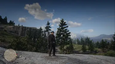 reshade