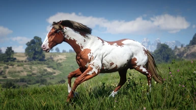 Flaxen Chestnut Overo American Paint Horse