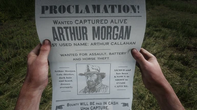 vaccination sammensatte sådan Obtainable Arthur and John Bounty Posters Restored at Red Dead Redemption 2  Nexus - Mods and community
