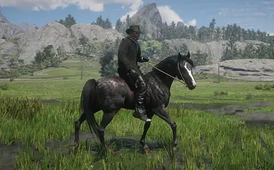 11 ReversedappleblackArabian