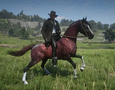 14 StrawberryDappleRoan