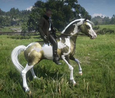 19 GoldenSkewbald