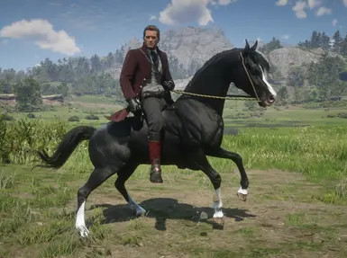 05 blackArabian