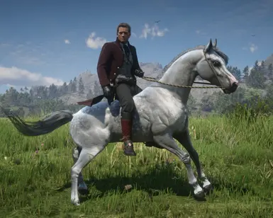 02 dapplegreyArabian