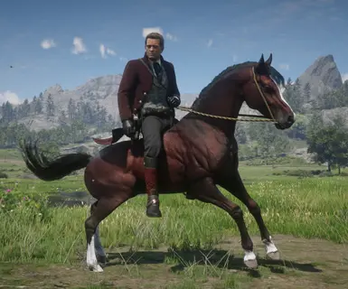 08 bloodbayArabian