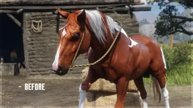 Chestnut Pinto Kentucky Saddler