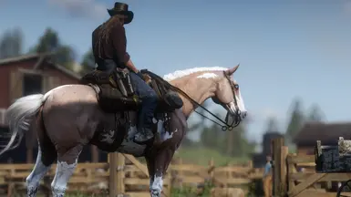 Palomino Overo Thoroughbred .2