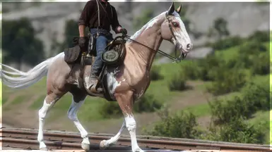 Palomino Overo Thoroughbred