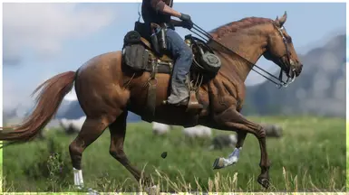 Chestnut Thoroughbred