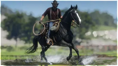 Black Thoroughbred
